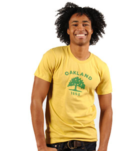 oakland_flag_sm